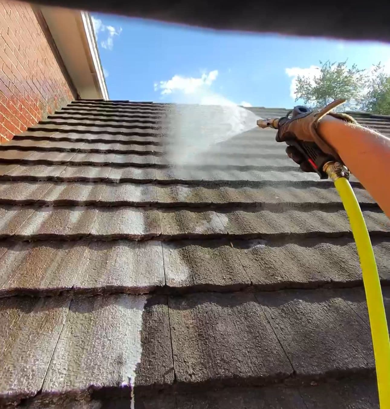 Tile Roof Cleaning hero