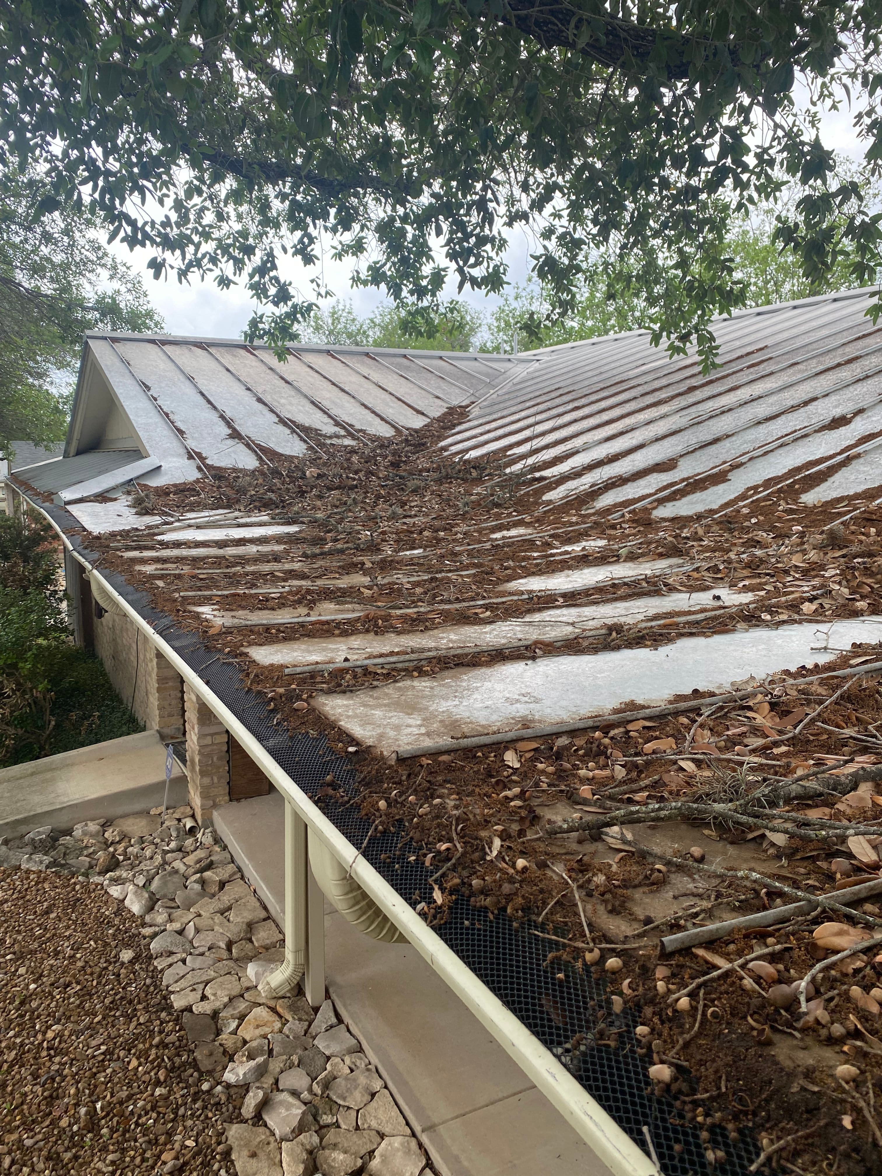 Metal Roof Cleaning hero