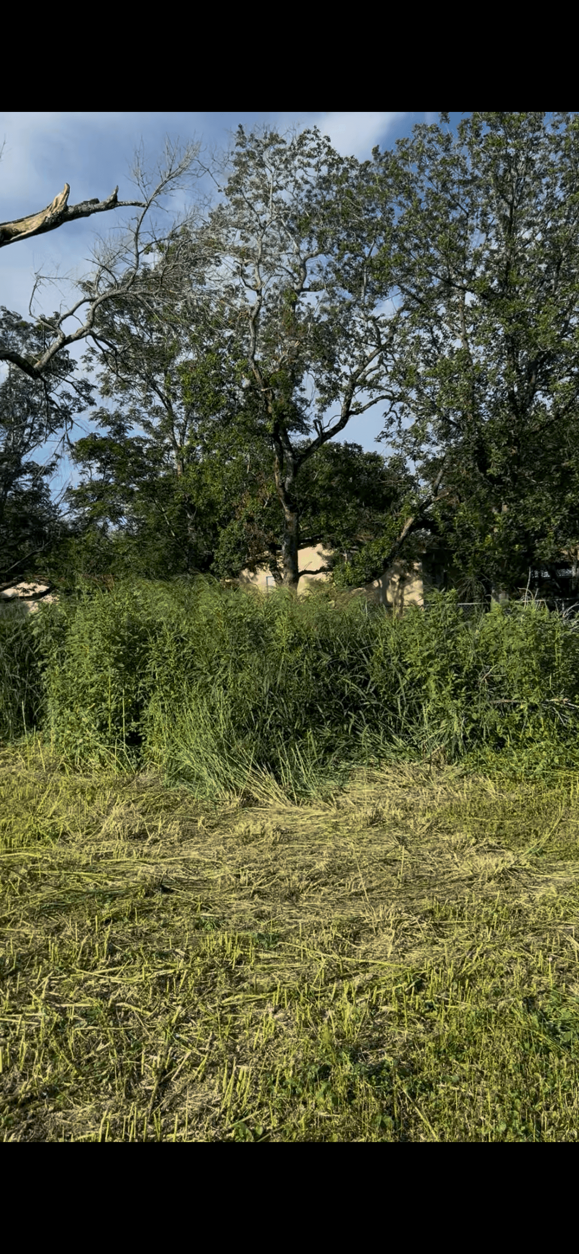 Land Clearing hero